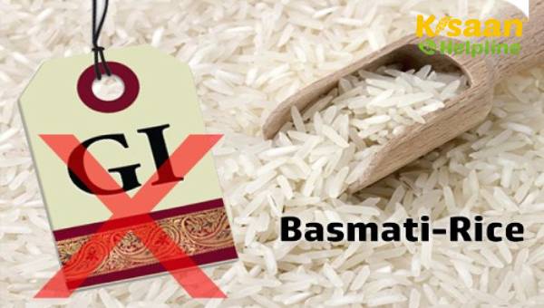 भौगोलिक संकेत का मामला: बासमती टैग पंजाब और मध्य प्रदेश के बीच टकराव शुरू